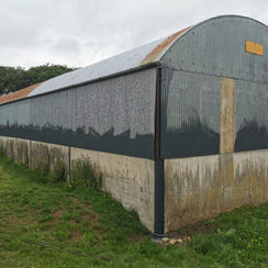 Waterford County Painters
