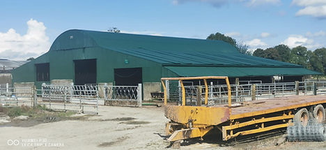 IMG-20251107-WA0167